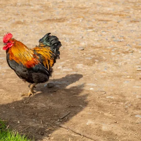 بيت للعطل Five Acres ثيرسك